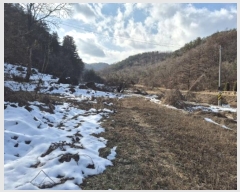  2024Ÿ��6873 ��� ���� �絿�� ��긮 1006-2      ����(��)���