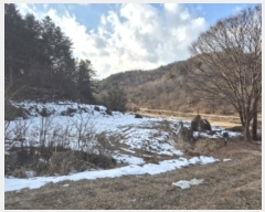  2024Ÿ��6873 ��� ���� �絿�� ��긮 1006-2      ����(��)���