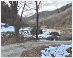  2024Ÿ��6873 ��� ���� �絿�� ��긮 1006-2      ����(��)���