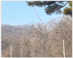  2024Ÿ��30142 ��� ��õ�� ���ϵ� ��29-13       ����(�Ӿ�)���