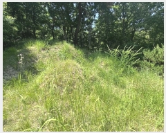  2024Ÿ��30142 ��� ��õ�� ���ϵ� ��29-13       ����(�Ӿ�)���