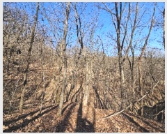  2024Ÿ��30142 ��� ��õ�� ���ϵ� ��29-13       ����(�Ӿ�)���