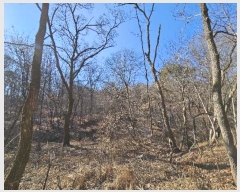  2024Ÿ��30142 ��� ��õ�� ���ϵ� ��29-13       ����(�Ӿ�)���