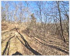  2024Ÿ��30142 ��� ��õ�� ���ϵ� ��29-13       ����(�Ӿ�)���