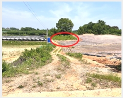  2024Ÿ33837  õ  õ 29-2      (Ӿ)