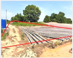  2024Ÿ33837  õ  õ 29-2      (Ӿ)