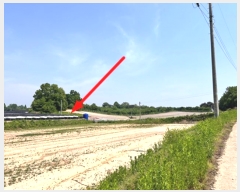  2024Ÿ33837  õ  õ 29-2      (Ӿ)