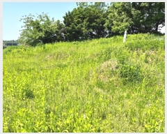  2024Ÿ33837  õ  õ 29-2      (Ӿ)