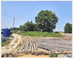  2024Ÿ33837  õ  õ 29-2      (Ӿ)