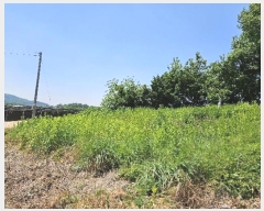  2024Ÿ33837  õ  õ 29-2      (Ӿ)