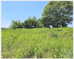  2024Ÿ33837  õ  õ 29-2      (Ӿ)