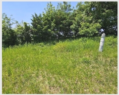  2024Ÿ33837  õ  õ 29-2      (Ӿ)