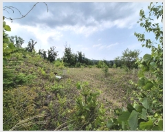  2024Ÿ34588     453-34      (Ӿ)