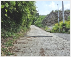  2024Ÿ34588     453-34      (Ӿ)