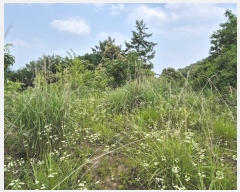  2024Ÿ34588     453-34      (Ӿ)