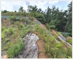  2024Ÿ34588     453-34      (Ӿ)