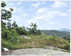  2024Ÿ34588     453-34      (Ӿ)