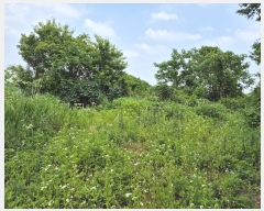  2024Ÿ34588     453-34      (Ӿ)