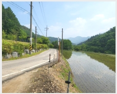  2024Ÿ��34878 ��� ���� �ܿ��� ������ 511-1      ����(��)���