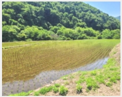  2024Ÿ��34878 ��� ���� �ܿ��� ������ 511-1      ����(��)���