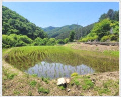  2024Ÿ��34878 ��� ���� �ܿ��� ������ 511-1      ����(��)���