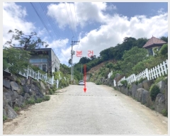  2024Ÿ��36003  ���ð��