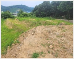  2024Ÿ��36072 ��� ���� �缭�� û�踮 205-2      ����(��)���