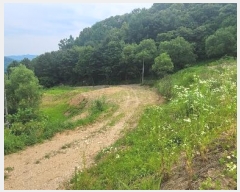  2024Ÿ��36072 ��� ���� �缭�� û�踮 205-2      ����(��)���