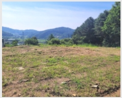  2024Ÿ��36072 ��� ���� �缭�� û�踮 205-2      ����(��)���