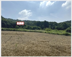  2024Ÿ��36188  �Ӿ߰��