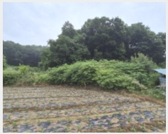  2024Ÿ��36188  �Ӿ߰��