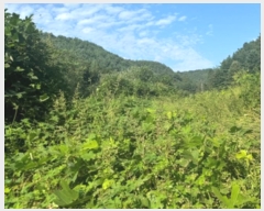  2024Ÿ38139   絿  293-2      (1)