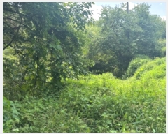  2024Ÿ38139   絿  293-2      (1)