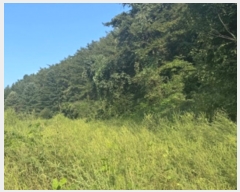  2024Ÿ38139   絿  293-2      (1)