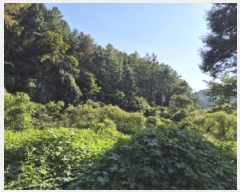  2024Ÿ38139   絿  293-2      (1)