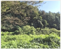  2024Ÿ38139   絿  293-2      (1)