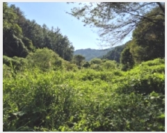  2024Ÿ38139   絿  293-2      (1)