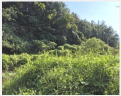  2024Ÿ38139   絿  293-2      (1)