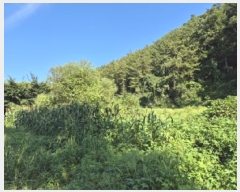  2024Ÿ38139   絿  293-2      (1)