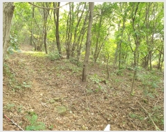  2024Ÿ��39064 ��� ���� �빮�� ������ ��55-15      ����(�Ӿ�)���