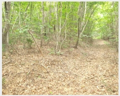  2024Ÿ��39064 ��� ���� �빮�� ������ ��55-15      ����(�Ӿ�)���