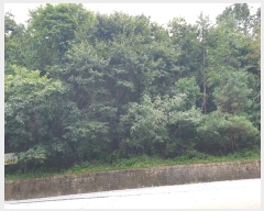  2024Ÿ��39064 ��� ���� �빮�� ������ ��55-15      ����(�Ӿ�)���