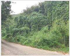  2024Ÿ��39064 ��� ���� �빮�� ������ ��55-15      ����(�Ӿ�)���