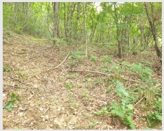  2024Ÿ��39064 ��� ���� �빮�� ������ ��55-15      ����(�Ӿ�)���