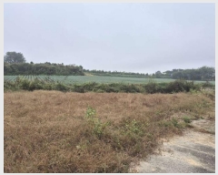  2024Ÿ39781  ֽ ո  127-47      (1)