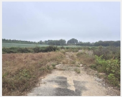  2024Ÿ39781  ֽ ո  127-47      (1)