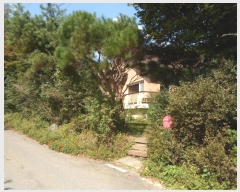  2024Ÿ39842   缭 û踮 271-1      ð