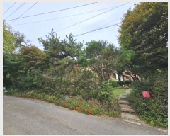  2024Ÿ39842   缭 û踮 271-1      ð