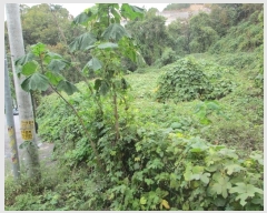  2024Ÿ40460    ȣ 573-27      ()