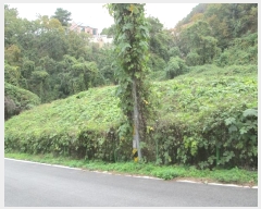  2024Ÿ40460    ȣ 573-27      ()